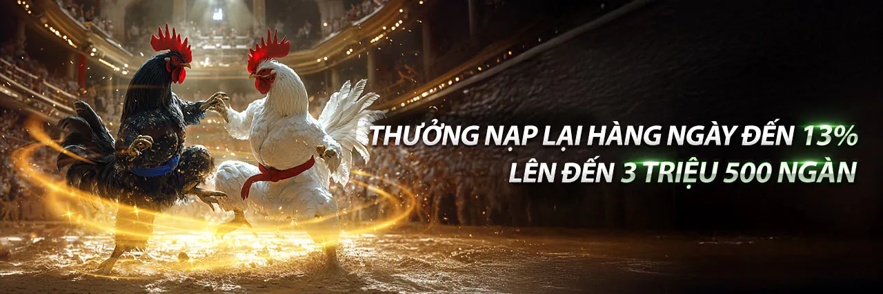 Đá Gà Trực Tiếp CPC3 4K – Trải Nghiệm Sống Động